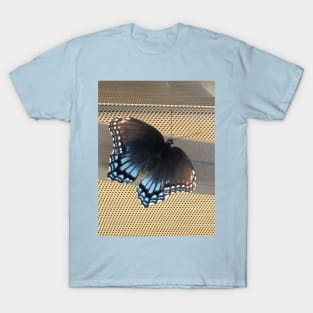 Butterflies T-Shirt